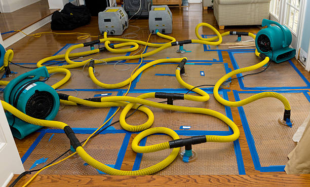 Professional Crawl Space Water Removal technician working in Harrington, DE