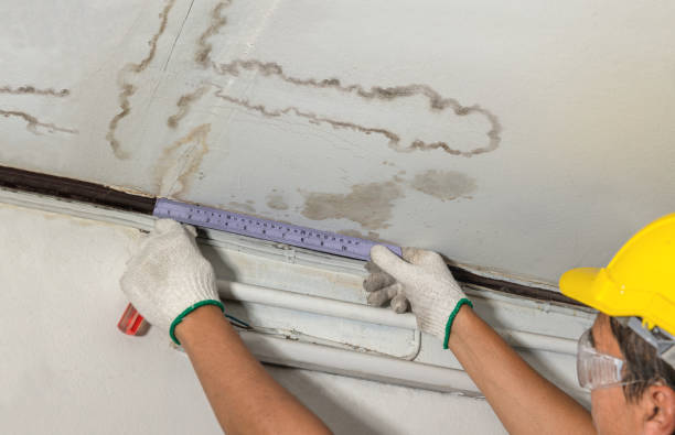 Affordable Water Damage Repair solutions in Harrington, DE